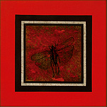 locusta-in-volo-tre-150